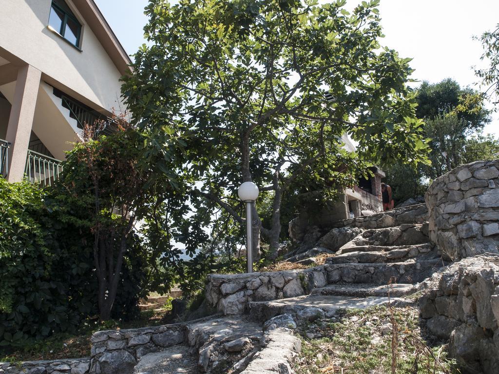 Apartment Cvijanovic 普洛切 外观 照片
